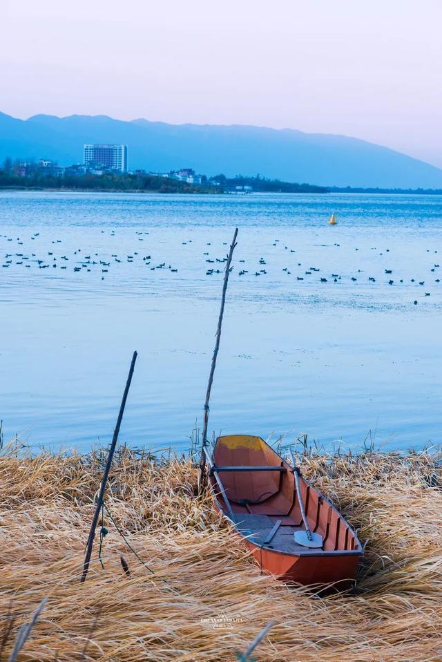 蜜月旅游去哪里最好（蜜月旅行适合去哪）