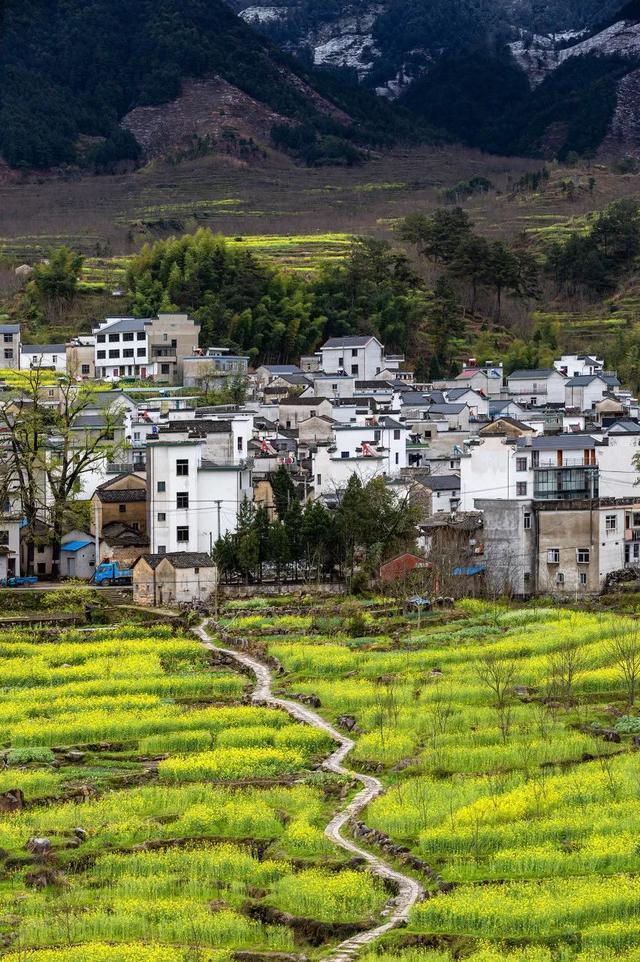 蜜月旅游去哪里最好（蜜月旅行适合去哪）