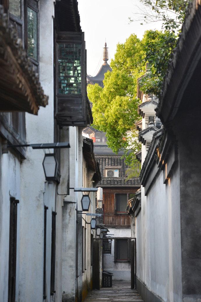 蜜月旅游去哪里最好（蜜月旅行适合去哪）