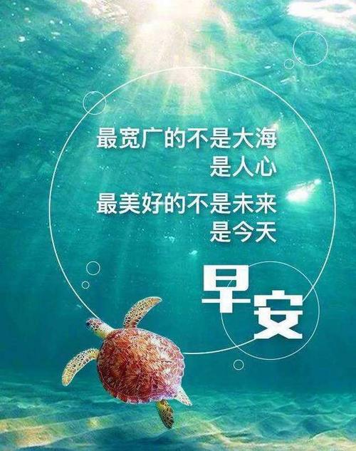 早安情话最暖心爱的人（早安早安爱人暖心话短句）