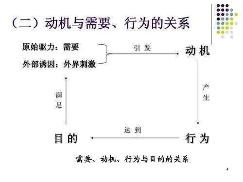 心理学入门基础知识（心理学基础知识核心课程）