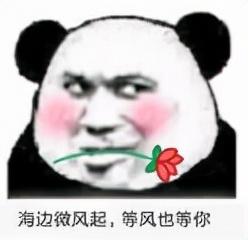 什么软件聊污的女生多（现在女孩子都玩什么社交软件）