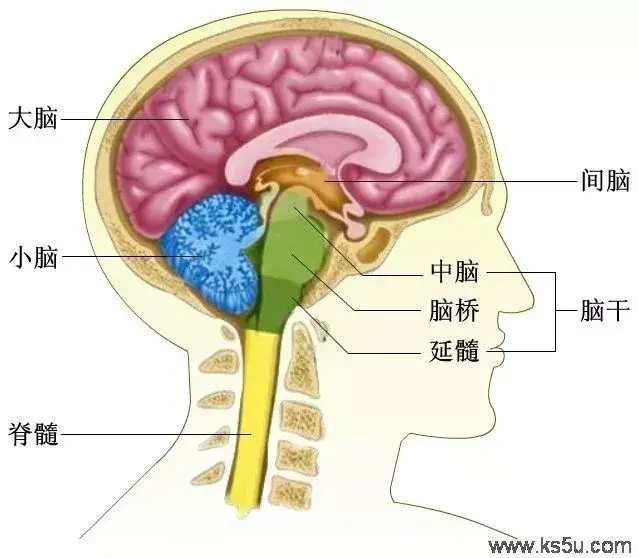 经常觉得另一半不可理喻（男女都要看）